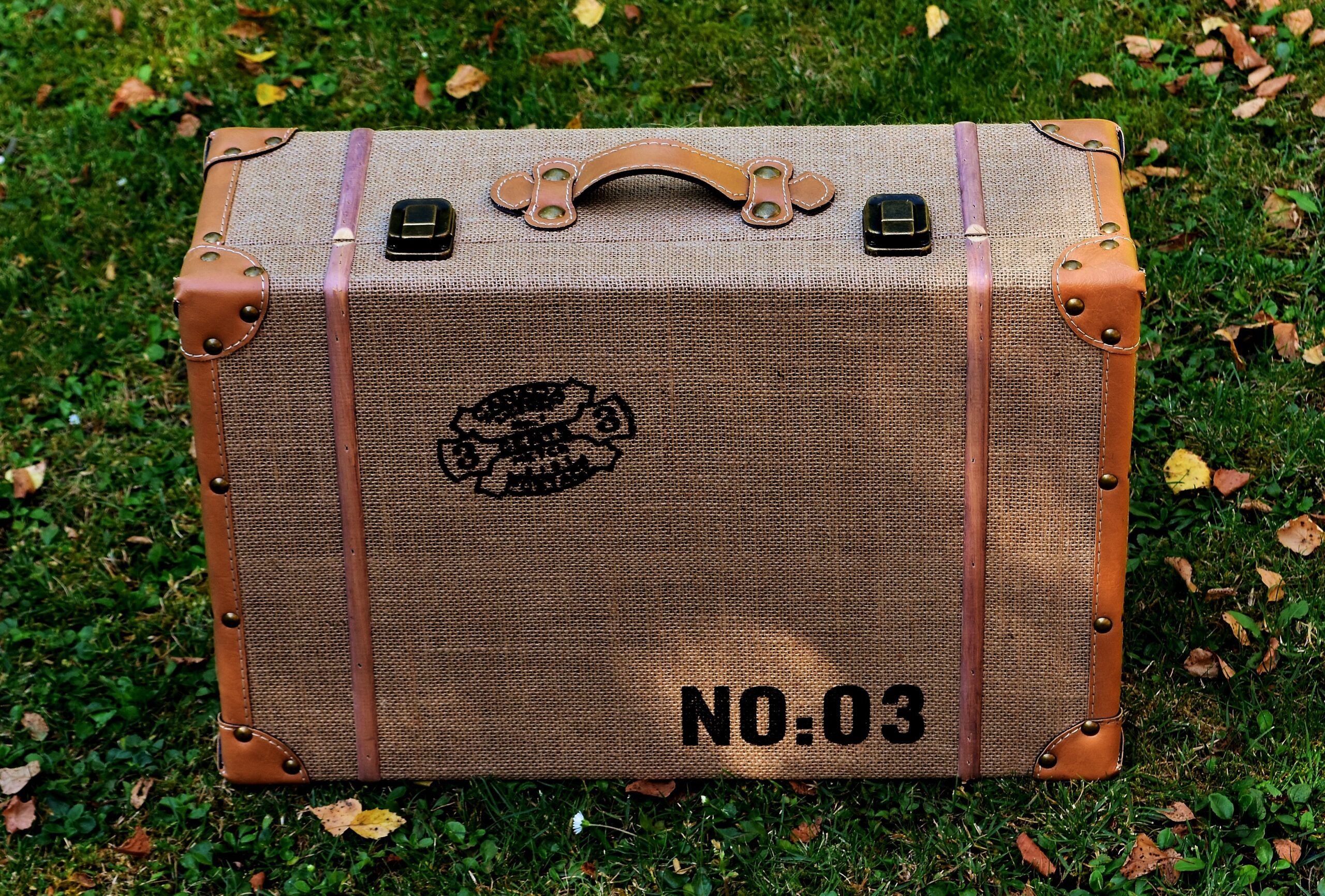 alexas_fotos-suitcase-2476064